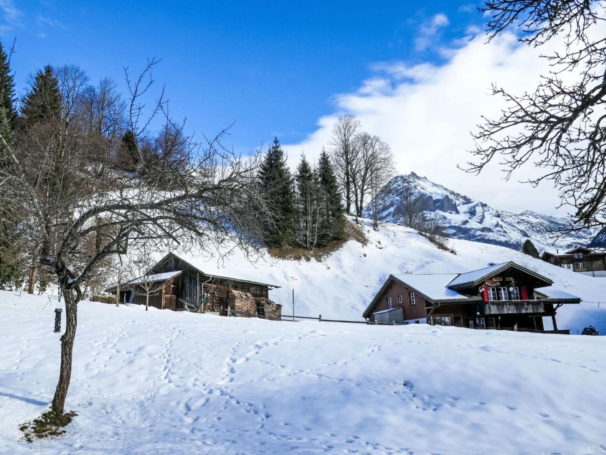 Apartment Chalet Schwendihus-11 By Interhome Grindelwald Zewnętrze zdjęcie